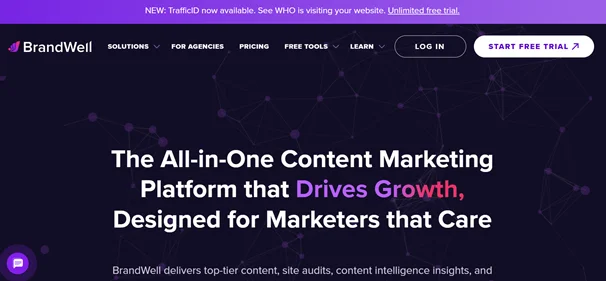 Content at Scale feature img